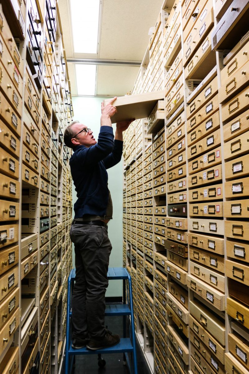 Jason Gibbs curates the the J.B. Wallis/R.E Roughly Museum of Entomology