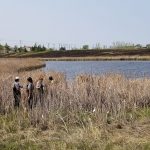 Students prepare for samples at the SmartPark pond Tuesday morning.
