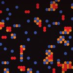 Karen Gunderson's graphic representation of the spread of infection.