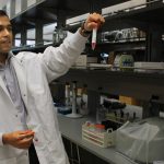 Summer student views test tube of gold nanoparticles