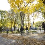 UM Campus During Fall