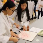 Take Our Kids to Work Day students participating in programming