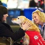 Therapy dog with student