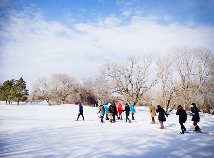 Students snowshoeing as part of the Jack Frost Challenge.