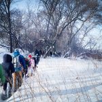 Students walking through the forest next to the Red River in winter