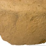 ancient fingerprints in clay