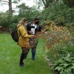 Two students looking at plants