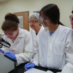 Indigenous Students working in a lab