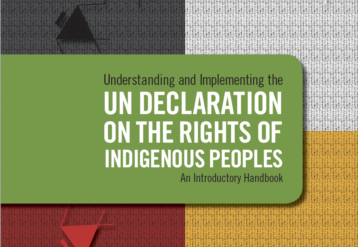 Cover of UNDRIP Handbook by Law Professor Brenda Gunn.
