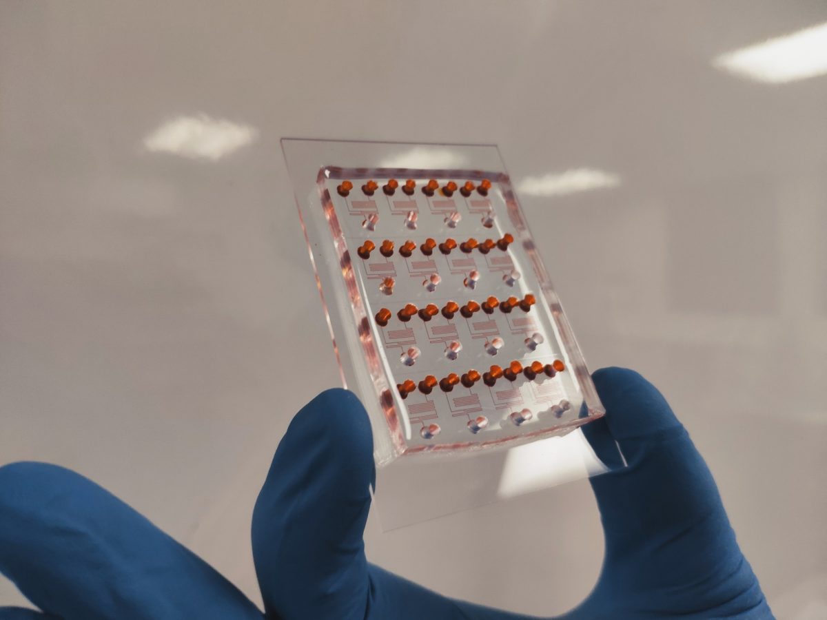 A hand holds the credit-card sized MATLOC device.