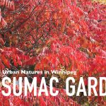 Sumac Garden