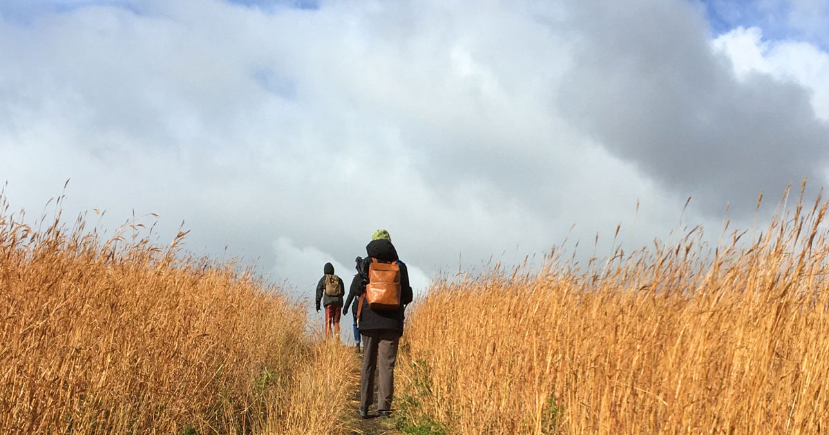 A person walks through a field.