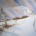 Manitoba Law Journal new owl