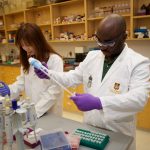 Two pharmacy graduate students working in a lab.