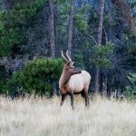 Researchers have found that those who feel more connected to nature tend to feel more connected to all of humanity. (Annie K/Unsplash)