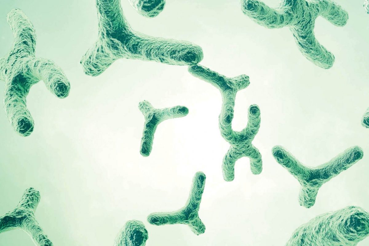 Chromosomes, magnified.