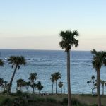 Tokunoshima, Japan in winter. Palm trees in the foreground with the ocean in the distance.