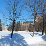 Snow covers the ground and trees stand in the Quad in winter 2022, with Tier Building in the background. // Photo from Jack Rach