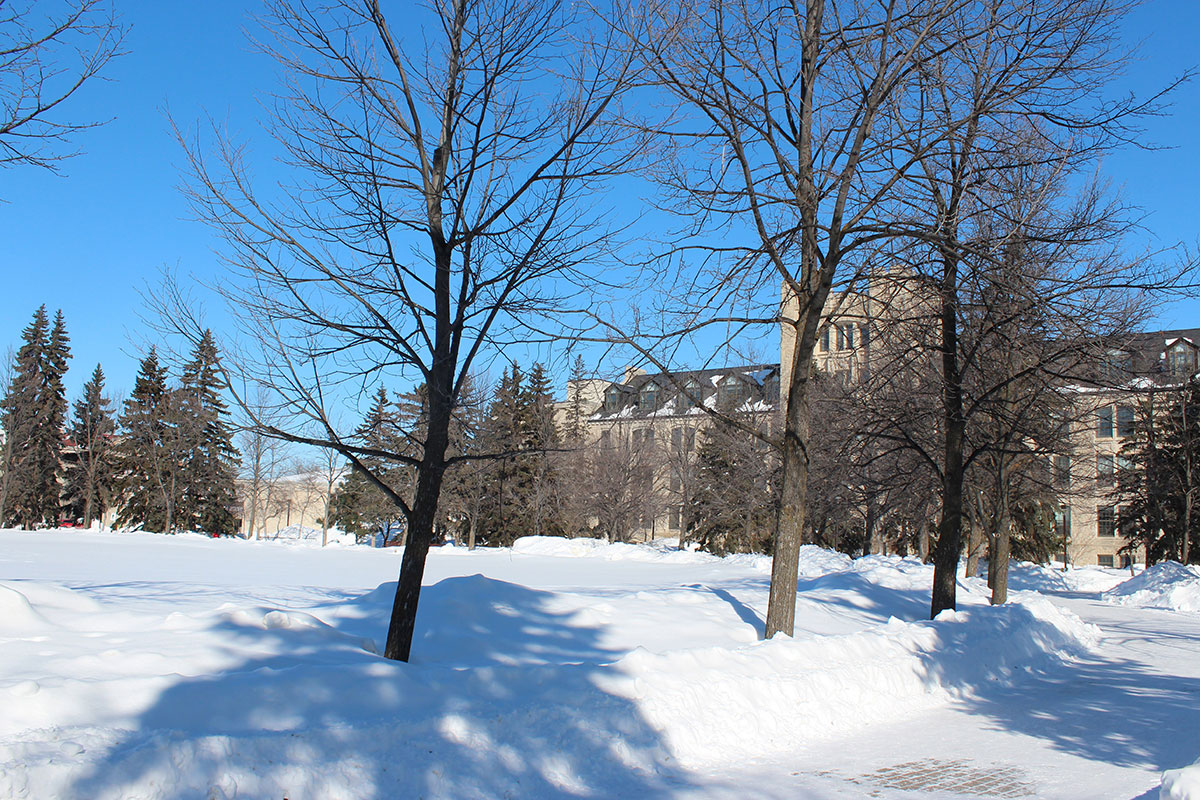 Snow covers the ground and trees stand in the Quad in winter 2022, with Tier Building in the background. // Photo from Jack Rach
