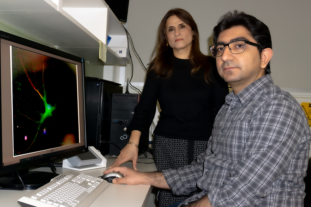 Dr. Seyed Mojtaba Hosseini sits at a computer and Dr. Soheila Karimi stands next to him.