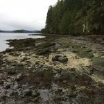 Apple Bay on Vancouver island