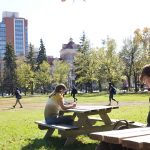 Students seated and studying at picnic tables outdoors