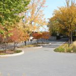 Trees in Fall colours along Curry Place walkway.