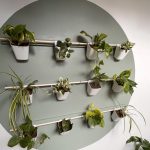 Wall planters aligned in rows with various indoor plants