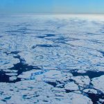 Summer sea ice in Arctic