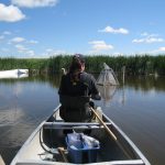Woman in a canoe conducting research.