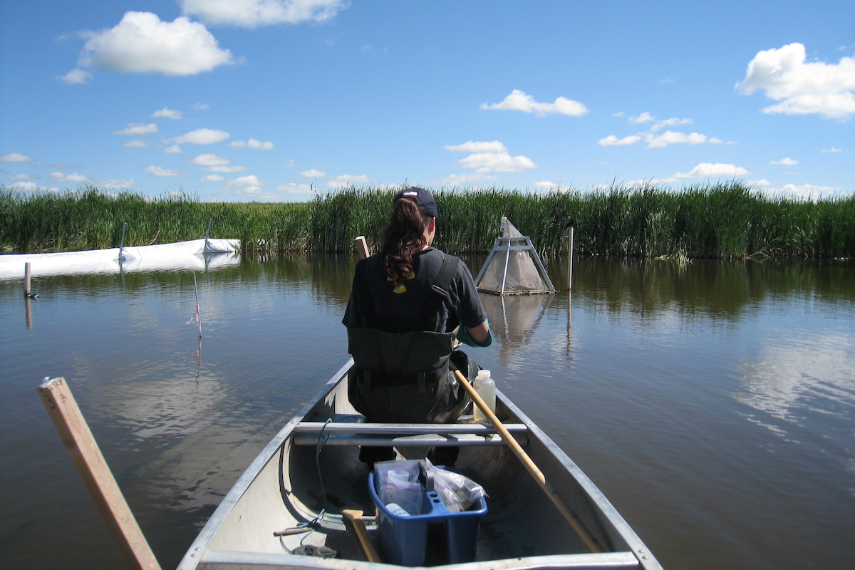 Woman in a canoe conducting research.
