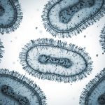 3D render of mpox virus.