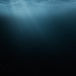 A collection of particles fall beneath sunlit water.