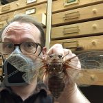 Associate Professor, Curator, Roughley Museum of Entomology, Jason Gibbs