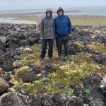A woman and a man wearing hooded jackets stand in a mossy area surrounded by a ring of rocks.