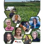 Collage of researchers