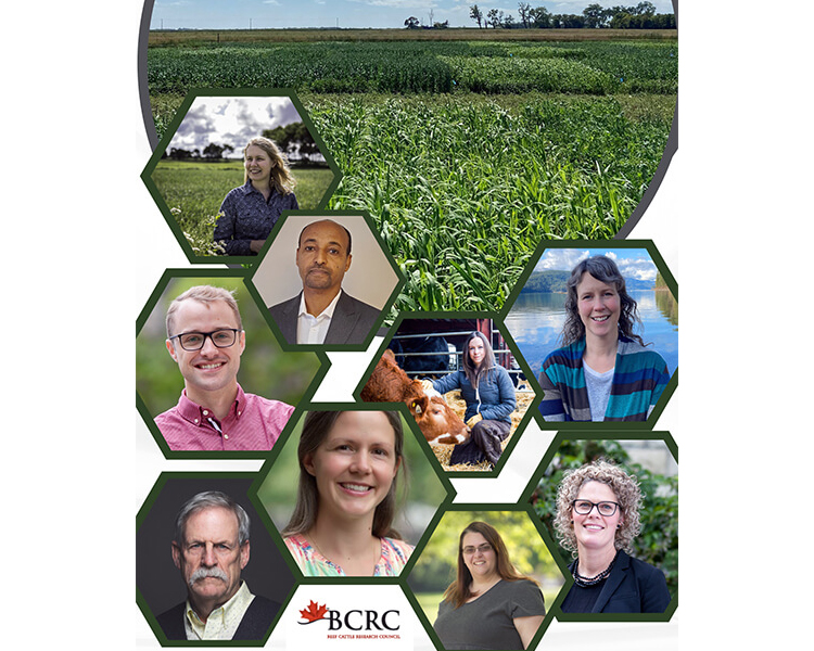 Collage of researchers