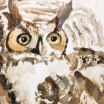 painting of an owl sitting on a branch