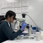 Faride Rafiei PhD chemistry student at Jorg Stetefeld Lab