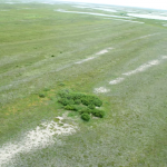 An aerial shot of an Arctic fox den