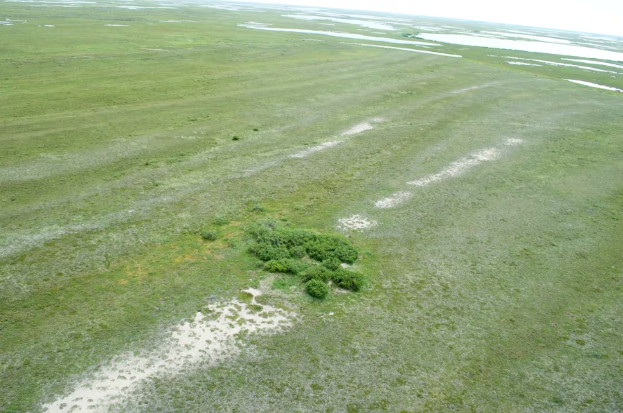 An aerial shot of an Arctic fox den