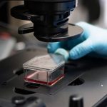 A hand moves a sample under a microscope