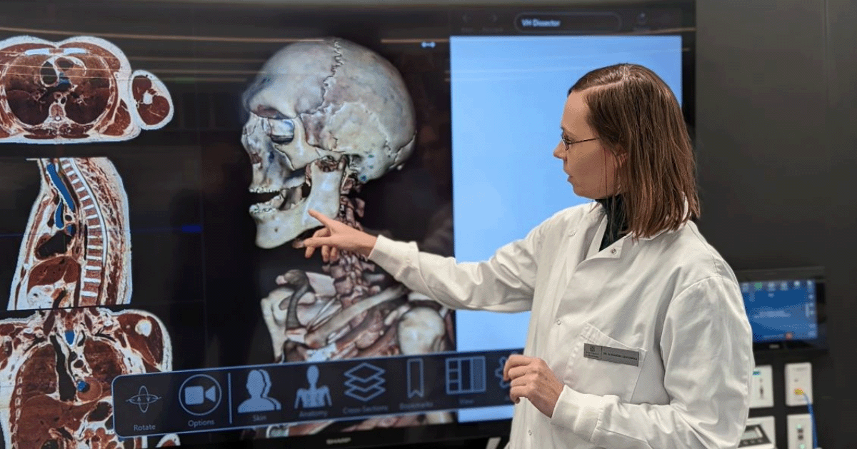 professor in the classroom.