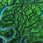 A map of a river and green terrain