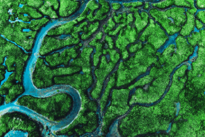 A map of a river and green terrain