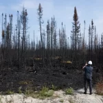 As forest fires spread and other climate change issues arrive, educators have a key role to play in setting the stage for climate action.