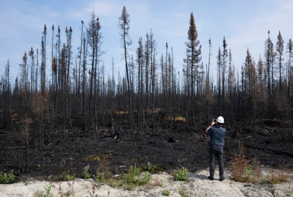 As forest fires spread and other climate change issues arrive, educators have a key role to play in setting the stage for climate action.