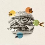 A black and white photograph of a burger, with illustrated animals around it, including a bee, butterfly, bird and beetle