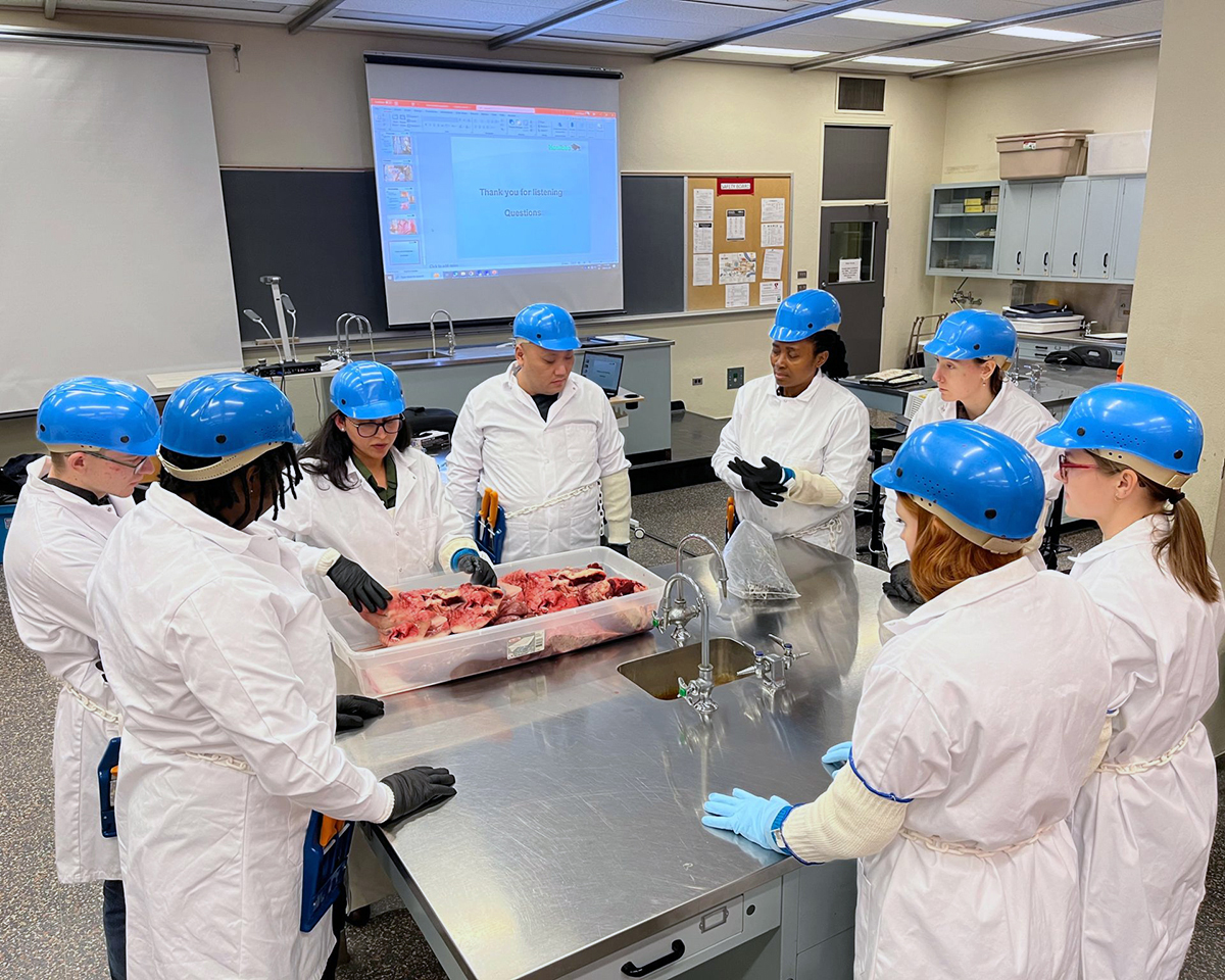 Students gather around a steel table to learn about meat inspection