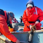 Researchers Travis Qaunaq, left, from Igloolik, Nunavut, and Madison Sheritt of the University of Manitoba pull a hydrophone out of the water in Foxe Basin. (Submitted by C-Jae Breiter/DFO)